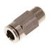 IQSG 186 MSV