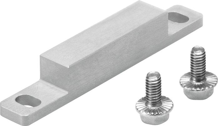 FESTO EAPM-L5-70-SLM Switch lug