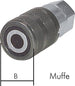 FFM 34