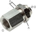IQSSF 184 MSV
