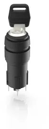 RAFI 1.10.116.612/0000