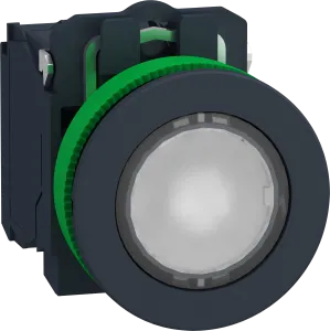 Schneider Electric XB5FW31M5