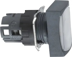 Schneider Electric ZB6DW1