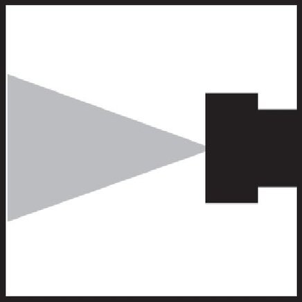WSP 12